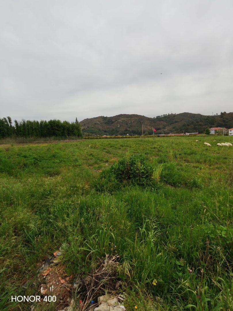 Turyap Dalamandan Altıntaşta Yola Sıfır 2 Parsel Satılık Tarla